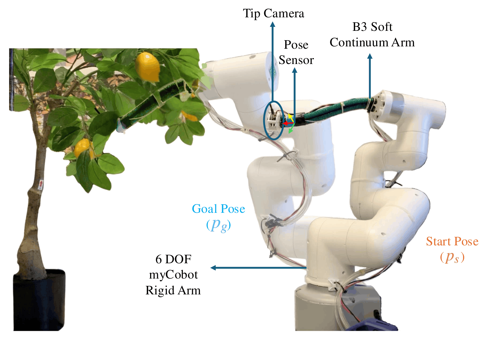 HyReach: Vision-Guided Hybrid Manipulator Reaching in Cluttered Unseen Environments